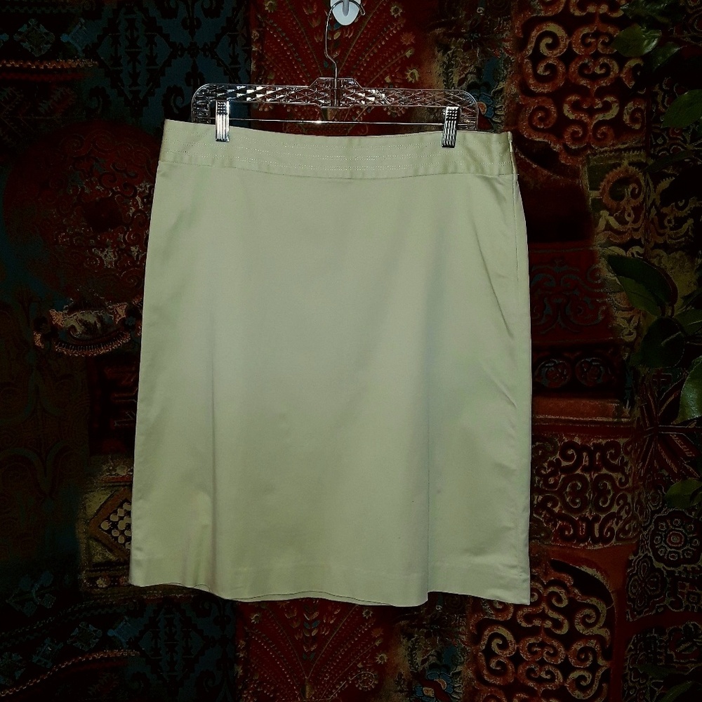 Banana Republic Green Skirt